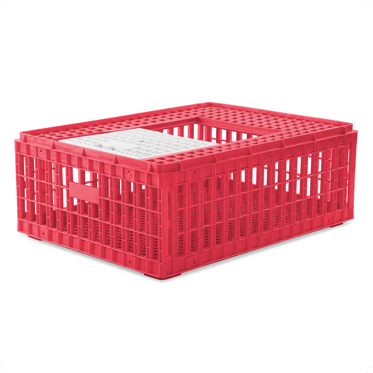 Poultry Box (Red)